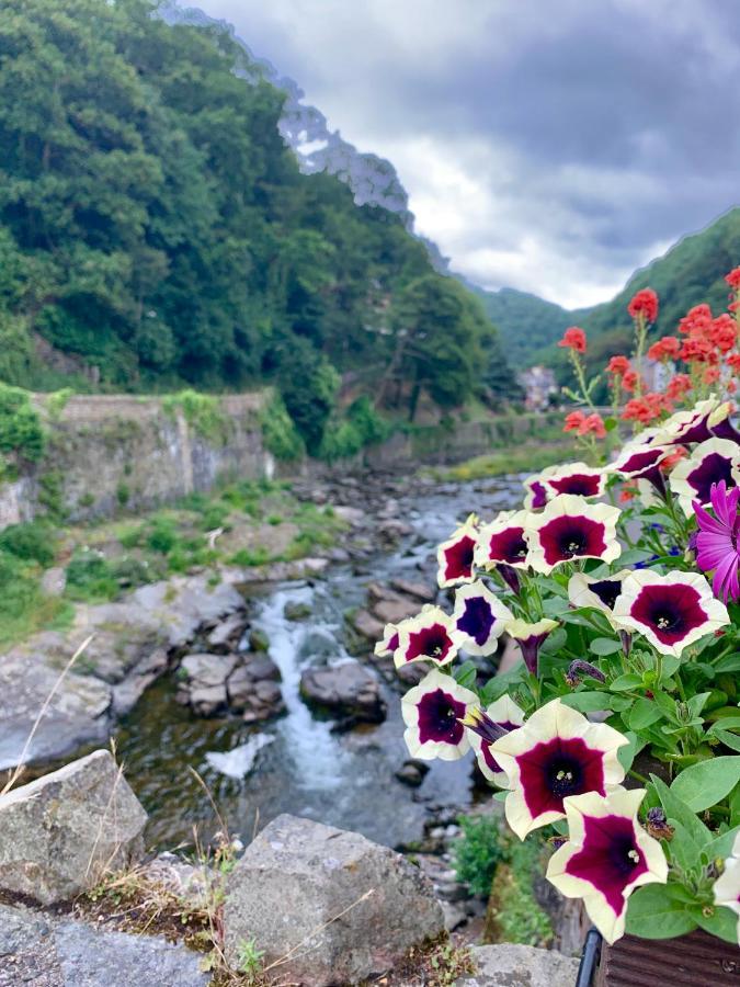 Honeysuckle Cottage Ilfracombe Zewnętrze zdjęcie