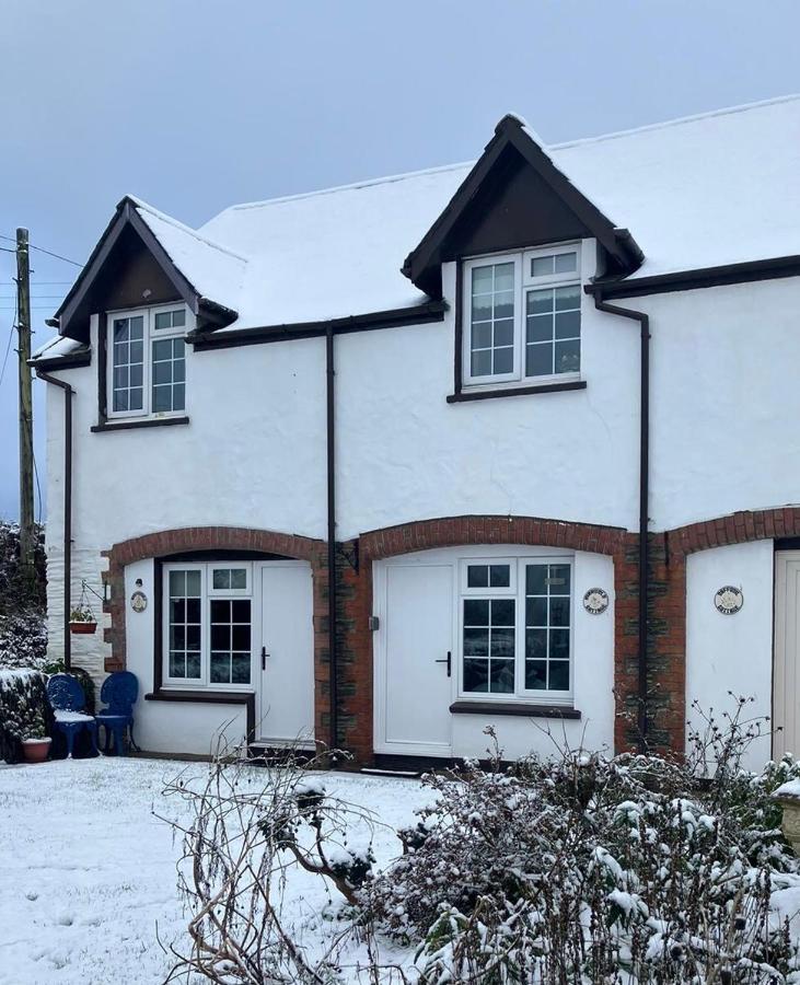 Honeysuckle Cottage Ilfracombe Zewnętrze zdjęcie